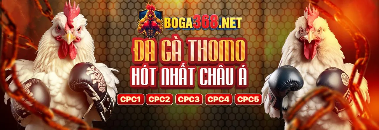 Hình ảnh đá gà trực tuyến sôi động tại nw88 cổng game