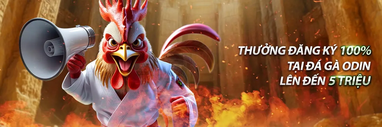 Hình ảnh tổng quan về cổng game nw88 an toàn và đa dạng